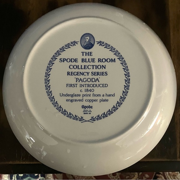 Spode Pagoda Pasta Bowl - Picture 3 of 3